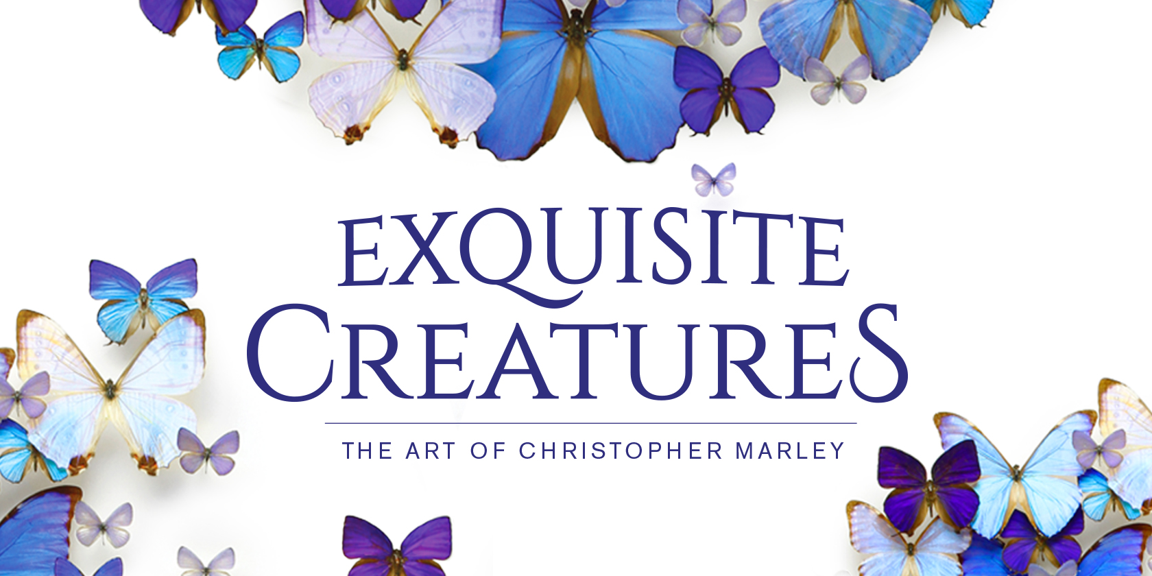 Exquisite Creatures